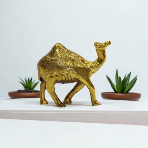 GOLDEN CAMEL (323 GM)